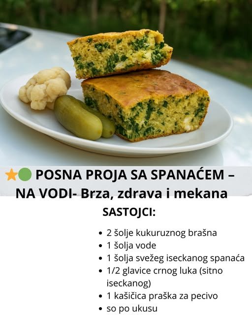  POSNA PROJA SA SPANAĆEM – NA VODI